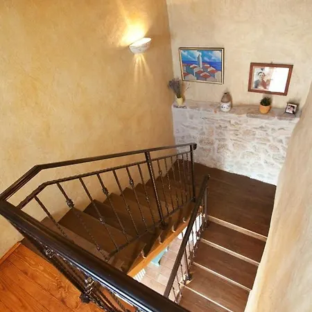 Gelci *