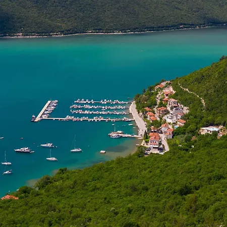 Gelci Trget